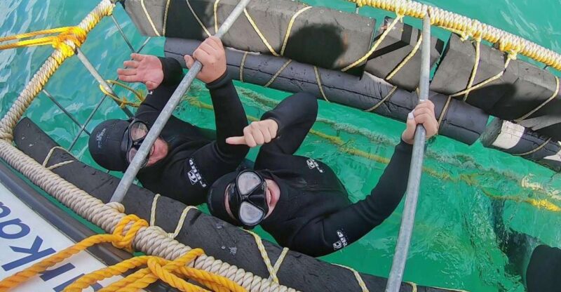 Kleinbaai: Shark Viewing Boat Trip With Shark Cage Diving - Inclusions and Pricing