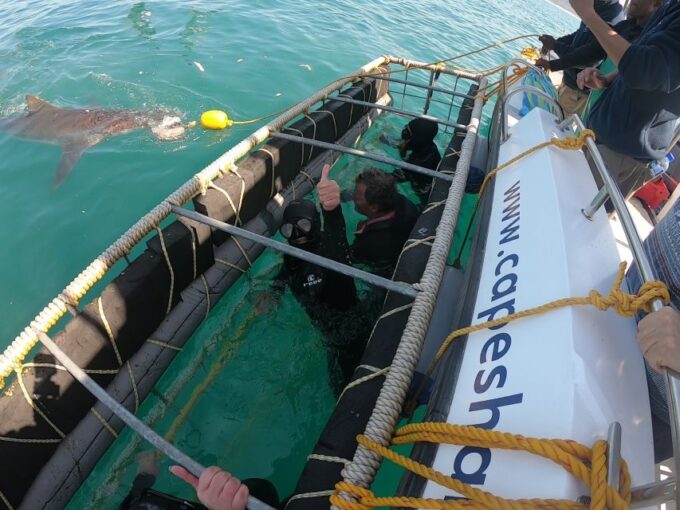 Kleinbaai: Shark Viewing Boat Trip With Shark Cage Diving - Breakfast, Lunch, and Refreshments
