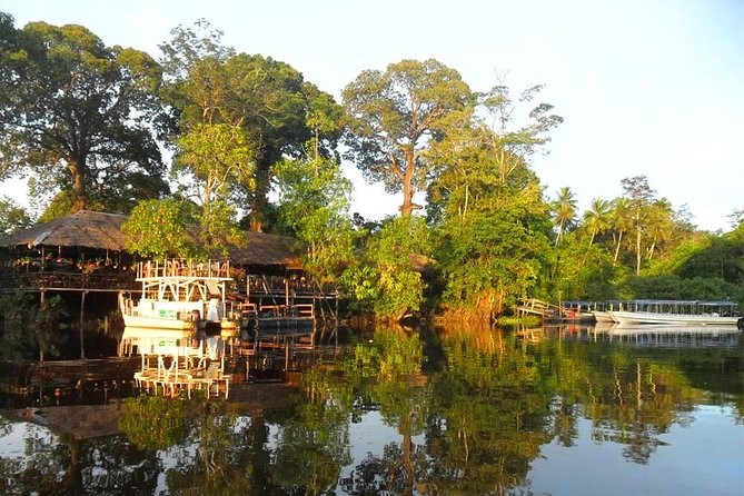 Klias River Fireflies & Wildlife Safari Cruise From Kota Kinabalu - Cancellation Policy