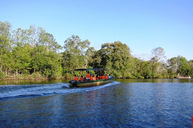Klias Wetland River Safari Tour - Customer Feedback