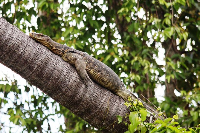 Klias Wildlife Safari River Cruise From Kota Kinabalu - Local Cuisine and Cultural Activities