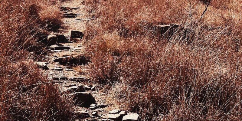 Klipriviersberg Nature Reserve 10km Hike - Key Points