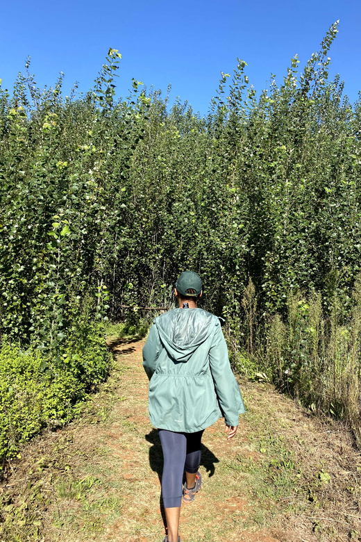 Klipriviersberg Nature Reserve 10km Hike - Pricing and Booking