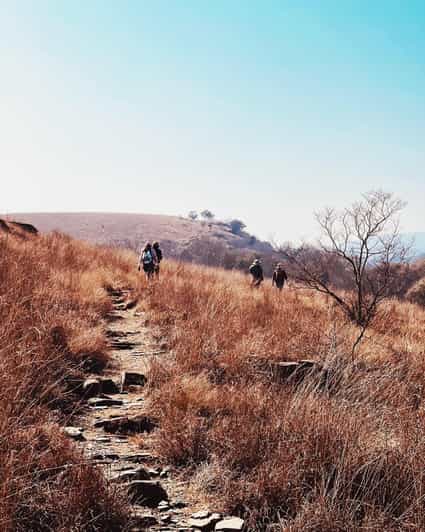 Klipriviersberg Nature Reserve 10km Hike - Transportation and Pick-Up