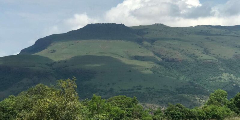 Klipriviersberg Nature Reserve 10km Hike - Important Fitness and Age Details