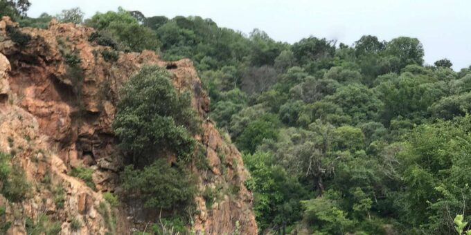Klipriviersberg Nature Reserve 10km Hike - Weather Policy and Prohibited Items