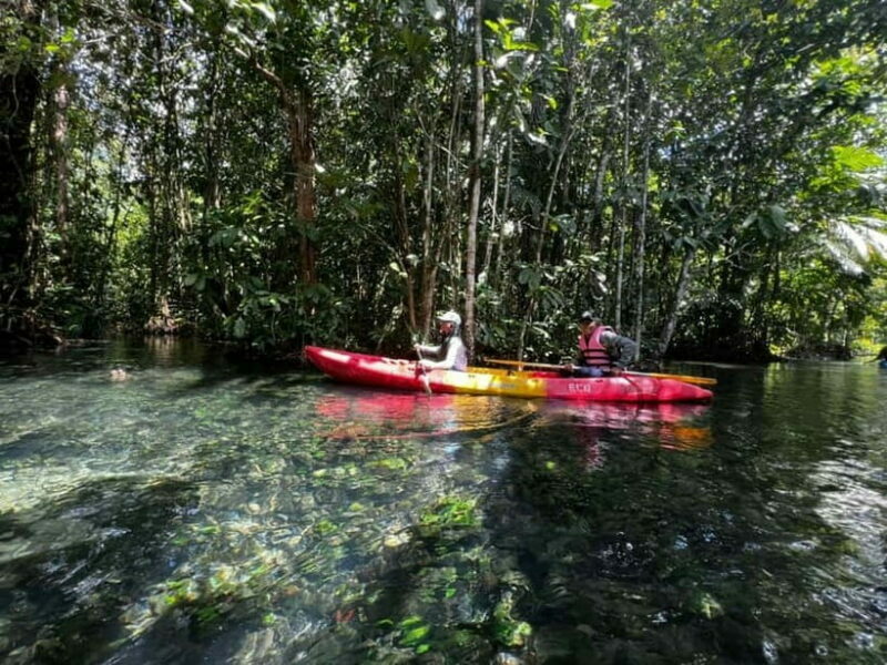 Klong Rud Kayaking with Hotel Transfer - Key Points