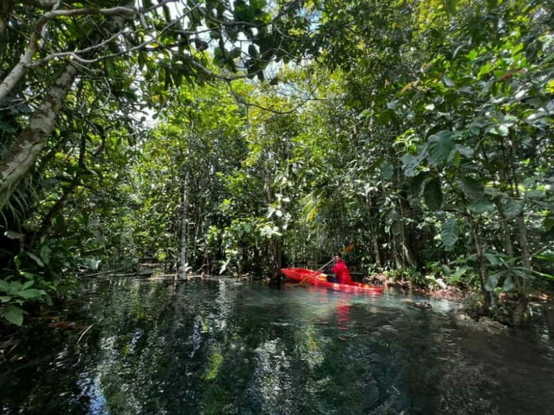 Klong Rud Kayaking with Hotel Transfer - Practical Tips for Your Kayaking Day
