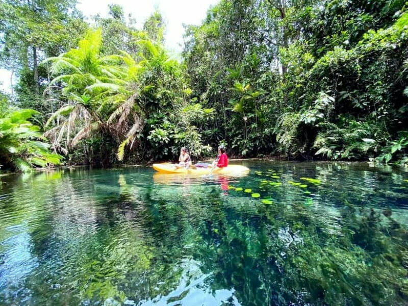 Klong Rud Kayaking with Hotel Transfer - The Sum Up: Is This Tour Worth It?