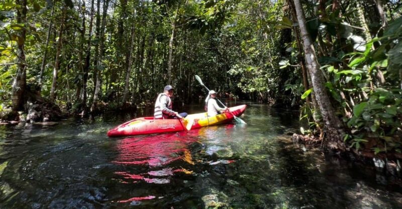 Klong Rud Kayaking With Hotel Transfer - Duration and Timing