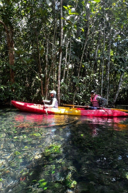 Klong Rud Kayaking With Hotel Transfer - Inclusions