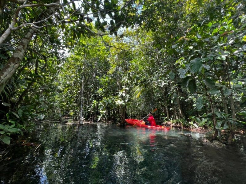 Klong Rud Kayaking With Hotel Transfer - Weather and Tour Type