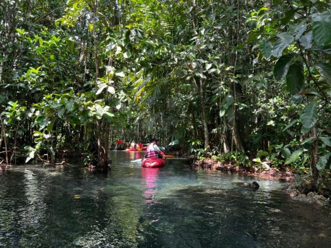Klong Rud Kayaking With Hotel Transfer - Restrictions