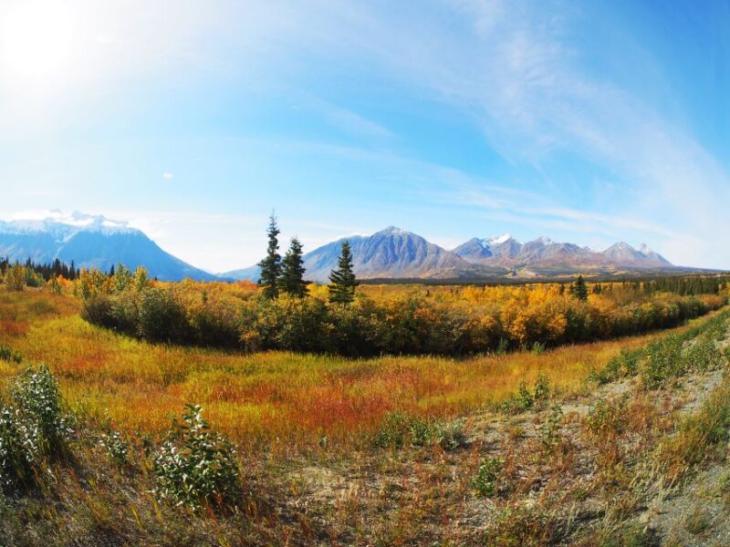 Kluane National Park: Full Day Tour - Highlights