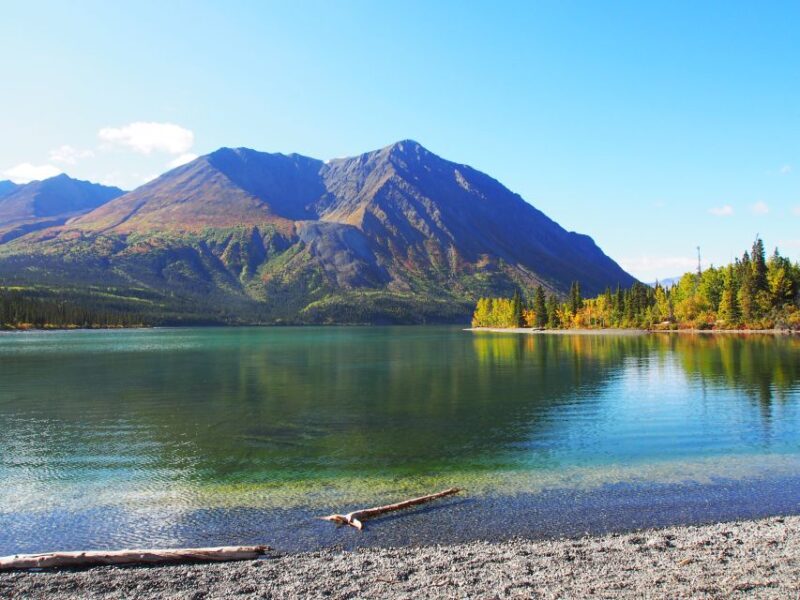 Kluane National Park: Full Day Tour - Participant Information
