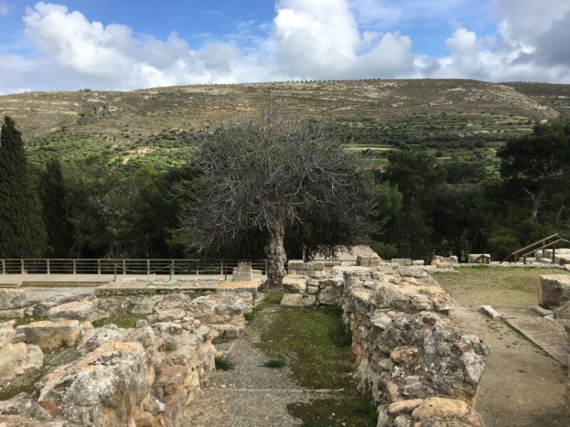 Knossos Palace ( Private Tour Skip-The-Line ) - Meeting Point Location