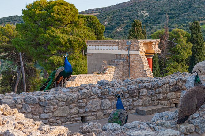 Knossos Palace Private Walking Tour - Reviews and Recommendations