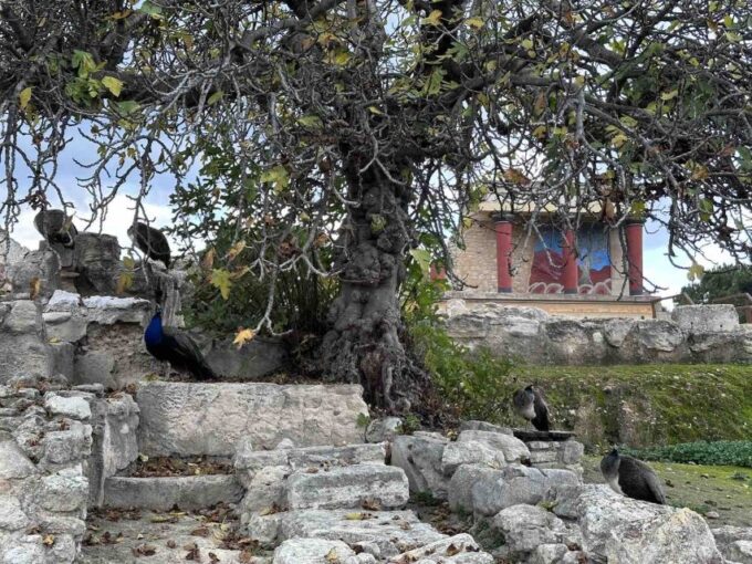 Knossos Palace Skip-the-Line Ticket & Private Guided Tour - Getting to Knossos Palace