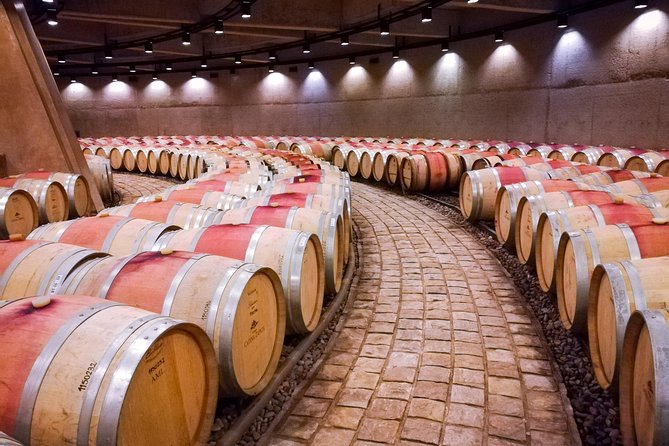 Knowing the Land of Malbec, Tasting Wine and Lunch in Luján De Cuyo - Exploring the Altieri Family Winery