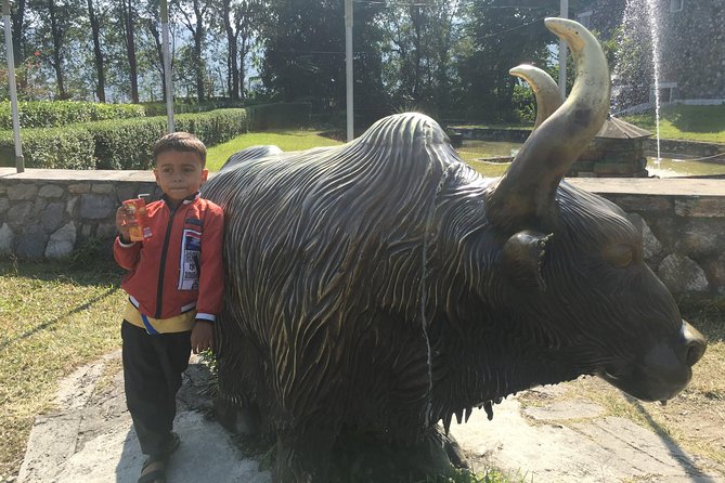 Knowledgeable Day Tour of Museums in Pokhara - Inclusions