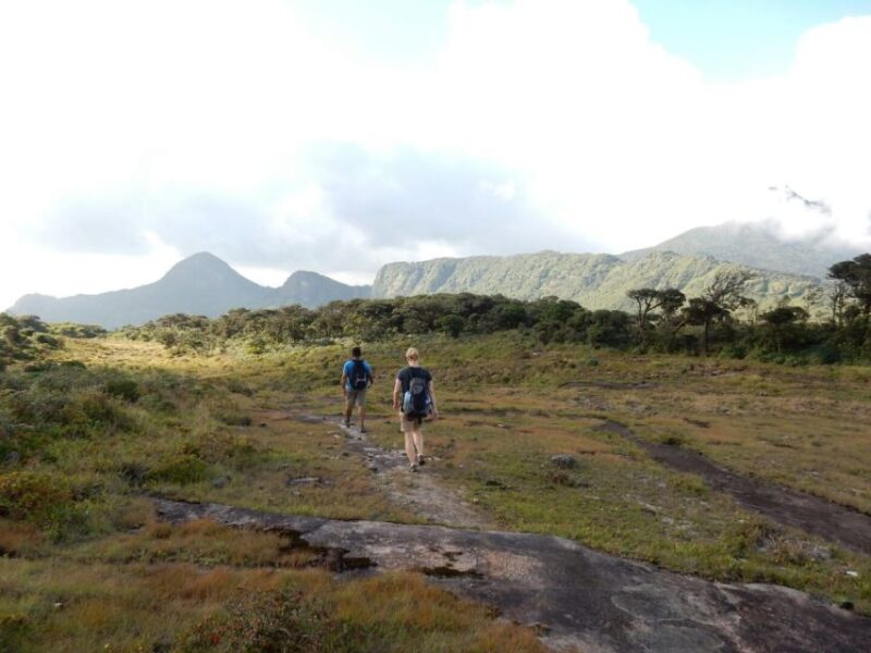 Knuckles Leopard Trail Trek From Kandy - Trekking Experience