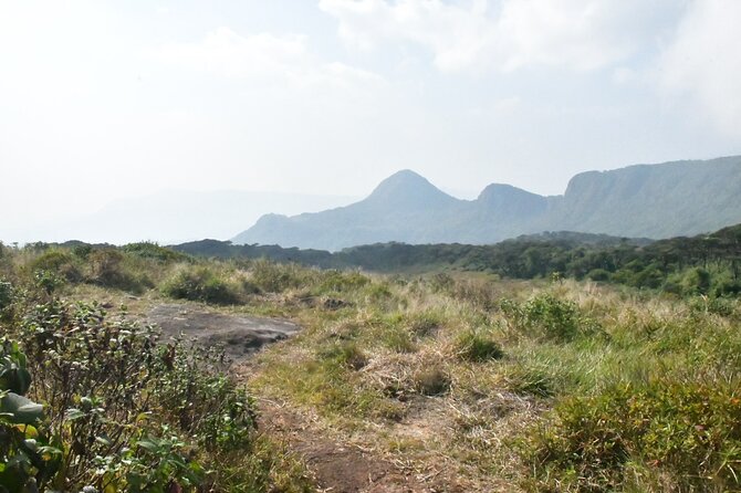 Knuckles Leopard Trail Trek From Kandy - Cancellation and Pricing Information