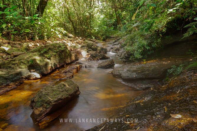 Knuckles Mountain Hiking - Cultural Immersion