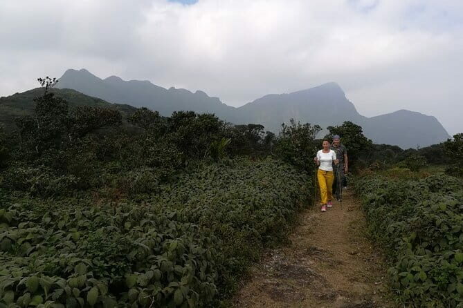 Knuckles Mountain Range Hiking and Trekking Day Tour From Kandy Hotels - What to Expect from the Tour