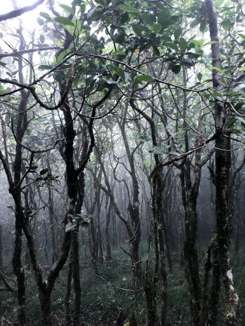 Knuckles Mountain Range Trekking :Kota Ganga Waterfall Chain - Planning Your Journey