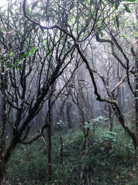 Knuckles Mountain Range Trekking :Kota Ganga Waterfall Chain - Frequently Asked Questions