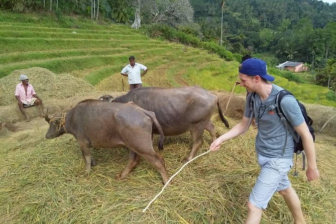 Knuckles Spice Trail Trek From Kandy - Terrain and Altitude