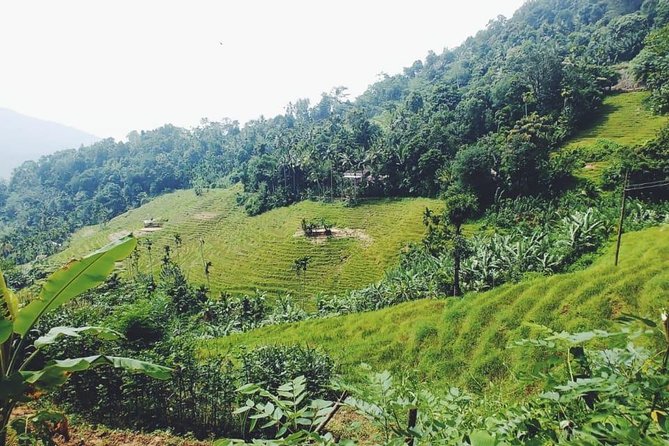 Knuckles Spice Trail Trek From Kandy - Included Activities and Experiences