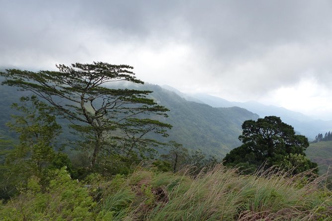 Knuckles Spice Trail Trek From Kandy - Meeting and Pickup Details
