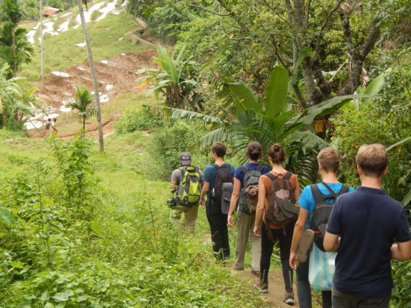 Knuckles Spice Trail Trek From Kandy - Itinerary and Experience