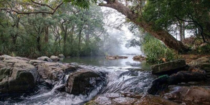Knuckles Wilderness Waterfall Trek:Comprehensive Adventure - Booking and Cancellation