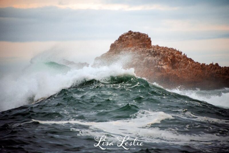 Knysna: 2.5-Hour Day Sail & Lunch Charter - Additional Information