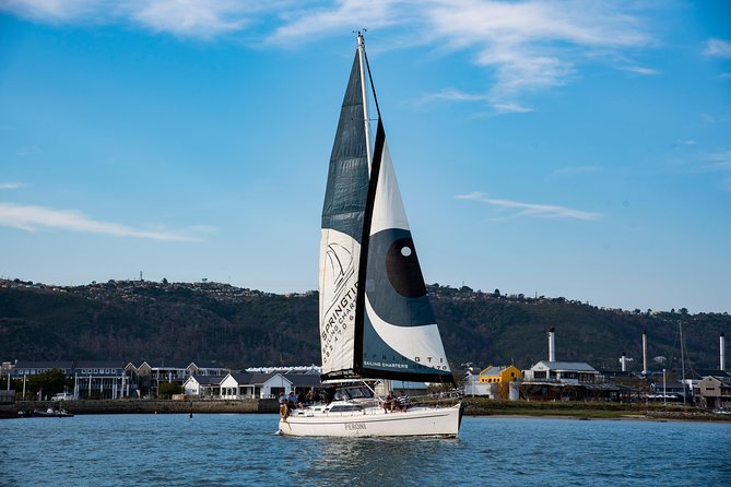 Knysna Day Sailing Cruise 1.5 Hour - Accessibility and Participation