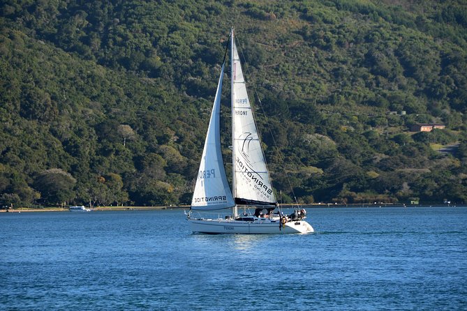 Knysna Day Sailing Cruise 1.5 Hour - What to Bring