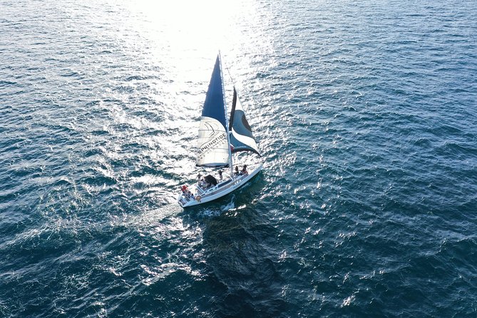 Knysna Day Sailing Cruise 1.5 Hour - Knysna Waterfront