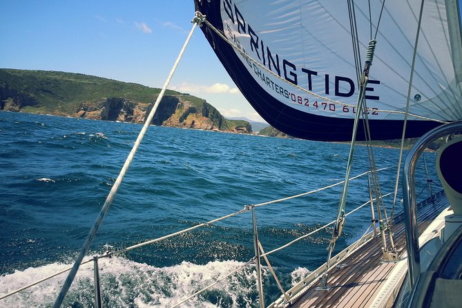 Knysna Day Sailing Cruise 1.5 Hour - About Spring Tide Charters