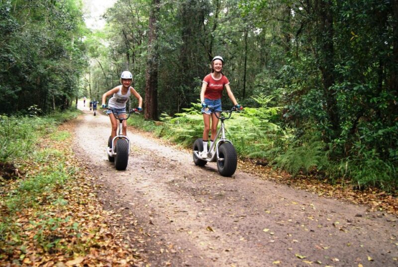 Knysna: Downhill Forest Scootour Adventure - Included in the Package