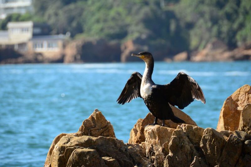 Knysna Heads and Estuary Adventure - Itinerary