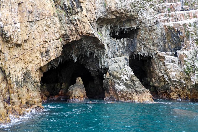 Knysna Heads & Lagoon Adventure Tour - Meeting and Pickup