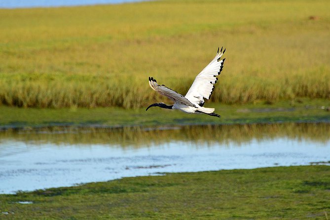 Knysna Heads & Lagoon Adventure Tour - Tour Requirements