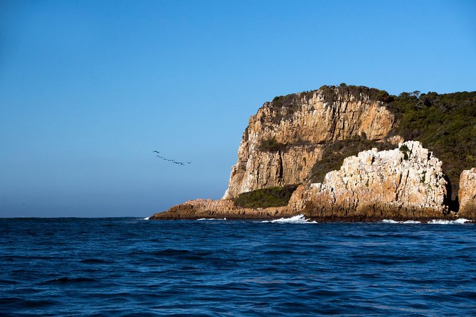 Knysna Heads & Lagoon Adventure Tour - Customer Reviews
