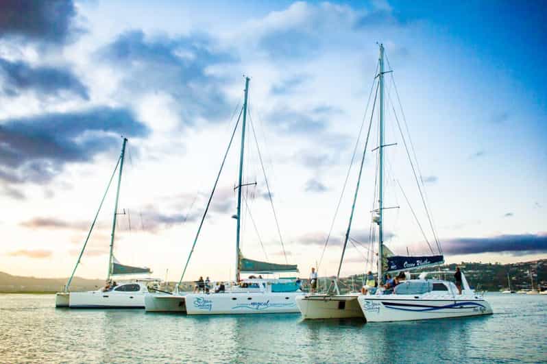 Knysna: Luxury Catamaran Marine Adventure Tour - Key Points