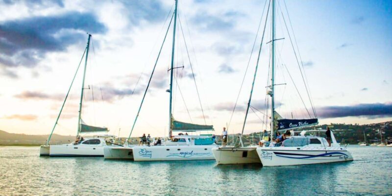 Knysna: Luxury Catamaran Marine Adventure Tour - Tour Inclusions