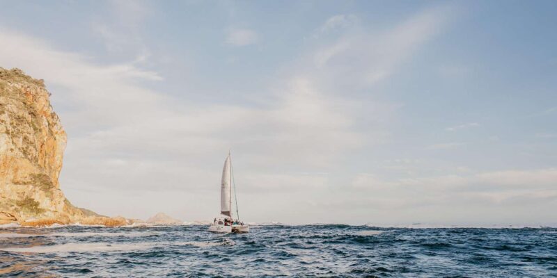 Knysna: Luxury Catamaran Marine Adventure Tour - Meeting Point and Directions