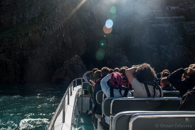 Knysna Marine Life & Garden Route Coastline Experience - Duration and Return to Meeting Point