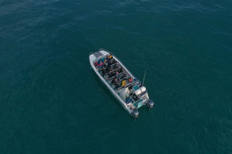 Knysna: Marine Life & Garden Route Coastline Tour - Activity Details